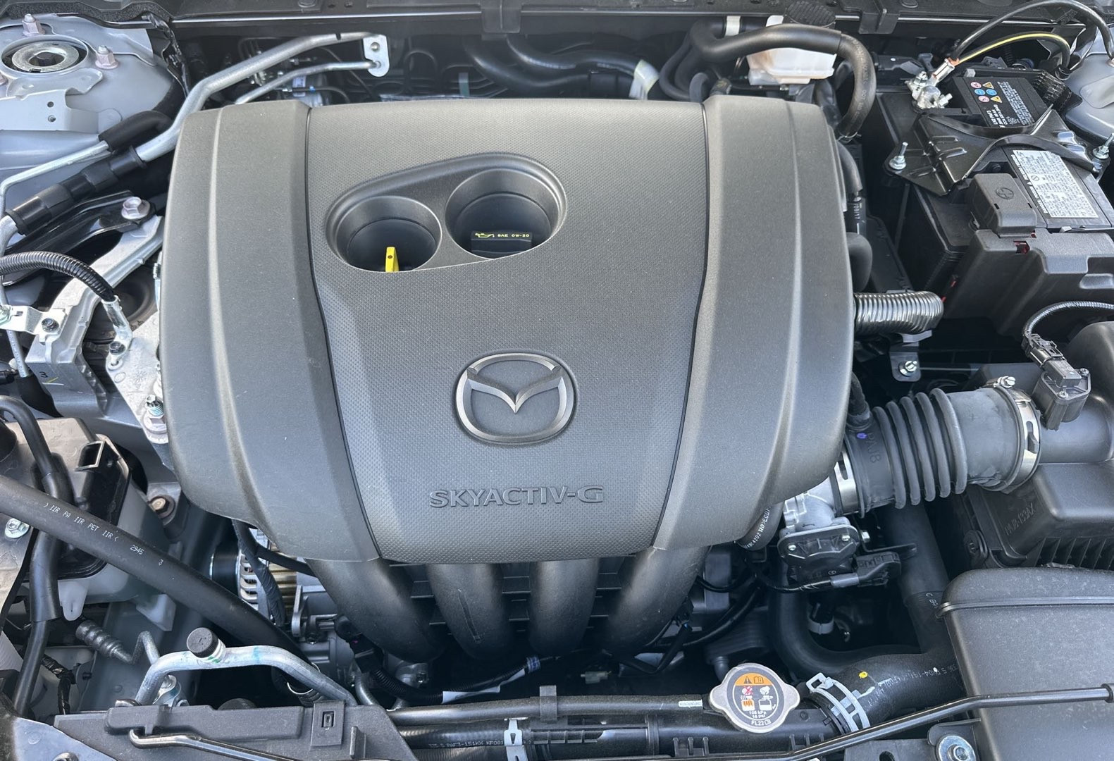 https://assets.dealerappcenter.com/dealergroups/336/vehicles/344183/LF95OW.jpg