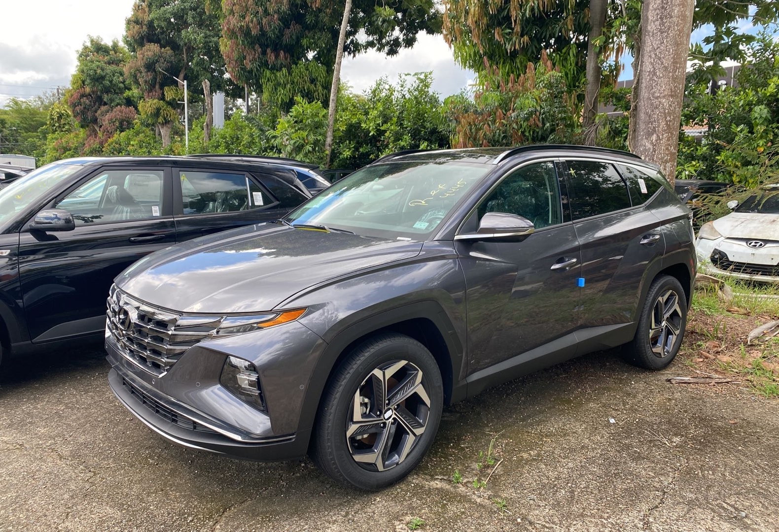 https://assets.dealerappcenter.com/dealergroups/62/vehicles/235310/jVKdcn.jpg