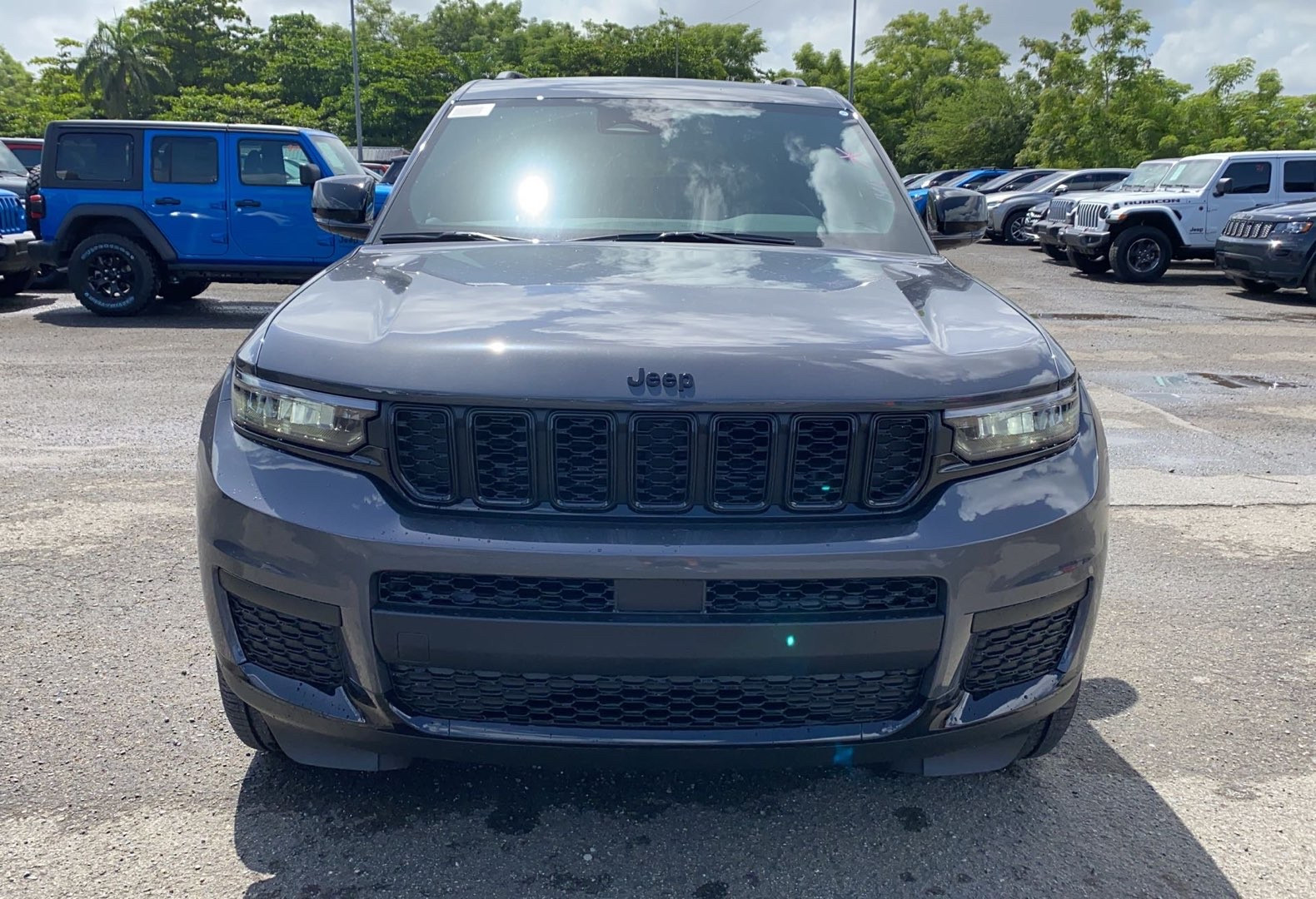 Detalles de Auto Alberic Colon