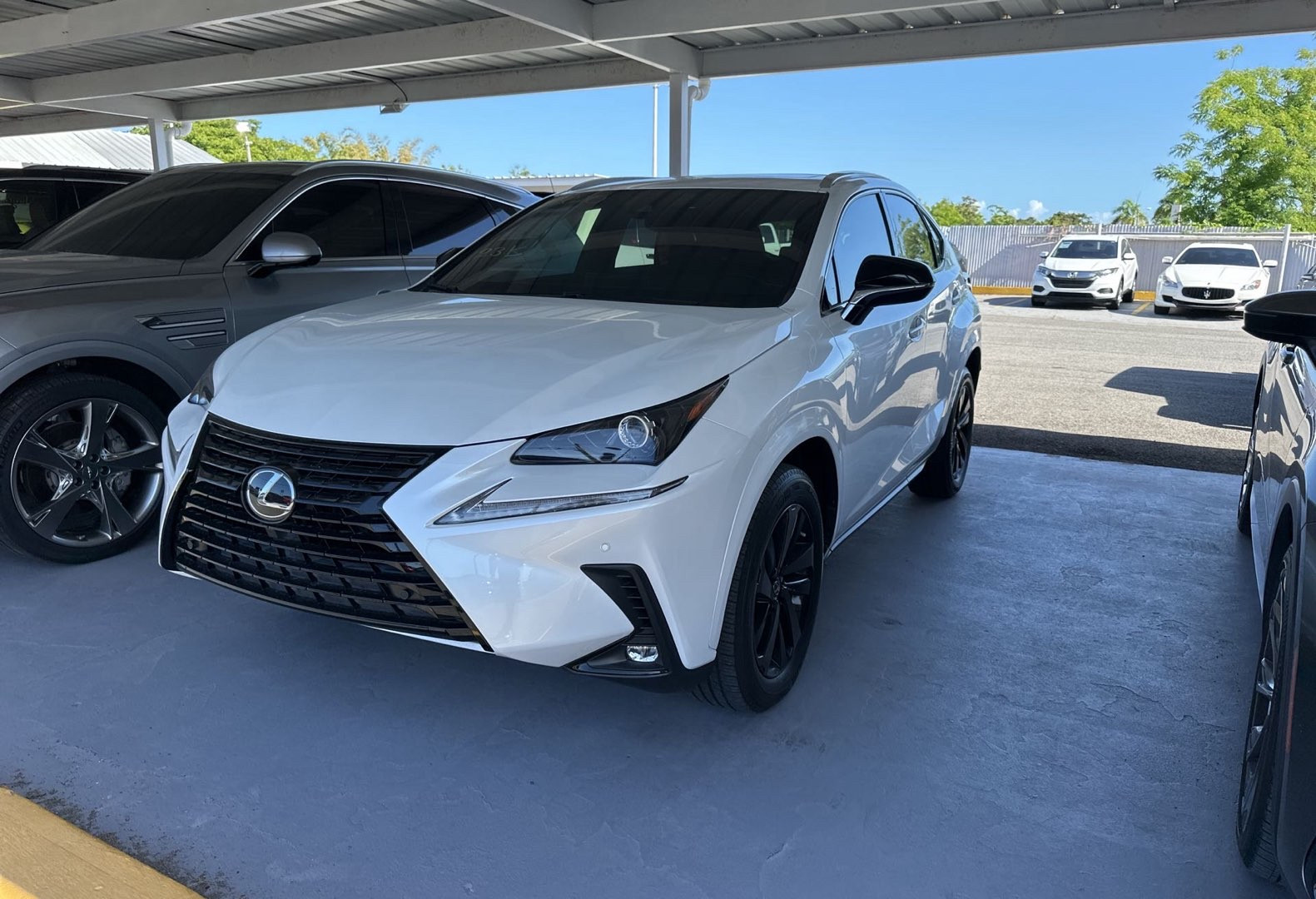 2020 Lexus NX 300's photo