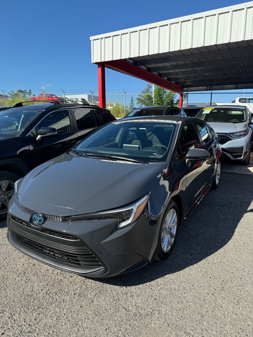 2023 Toyota Corolla's photo